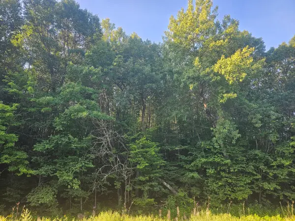 Lot 1 Ken Can Lane, Webster, WI 54893