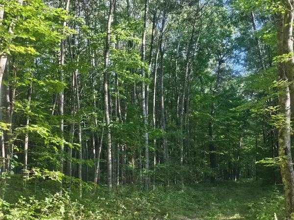 Lot 3 Ken Can Lane, Webster, WI 54893