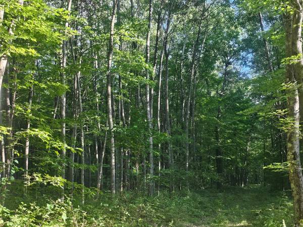 Lot 3 Ken Can Lane, Webster, WI 54893