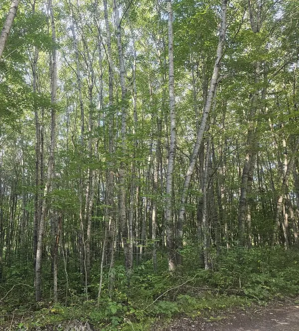Lot 4 Ken Can Lane, Webster, WI 54893