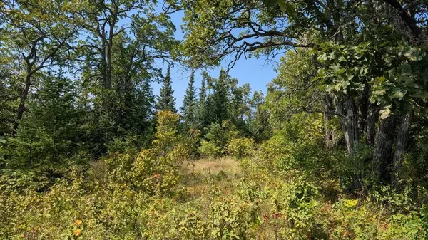 TBD Meyers Island, Tower, MN 55790