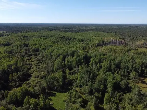 6566 County Road 77, Littlefork, MN 56653