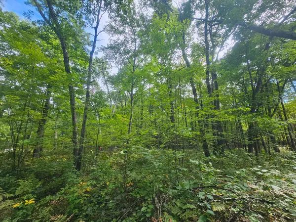 Lot 5 Ken Can Lane, Webster, WI 54893