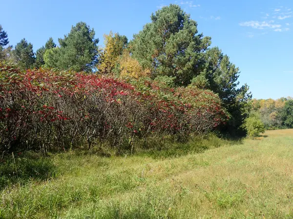 TBD8.5 County Road 106, Monticello, MN 55362