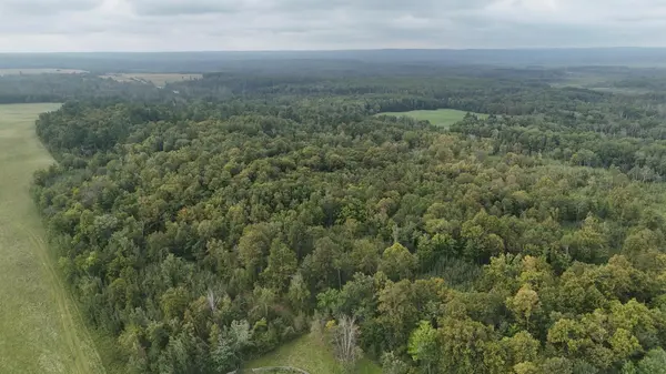 TBD 220th Street, Bagley, MN 56621