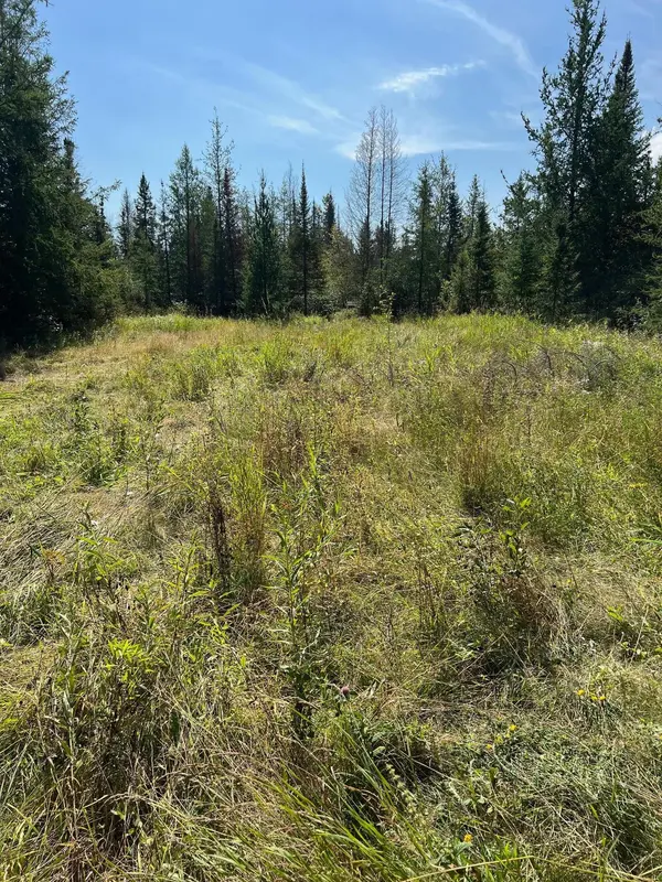 TBD W County Road 3, International Falls, MN 56669