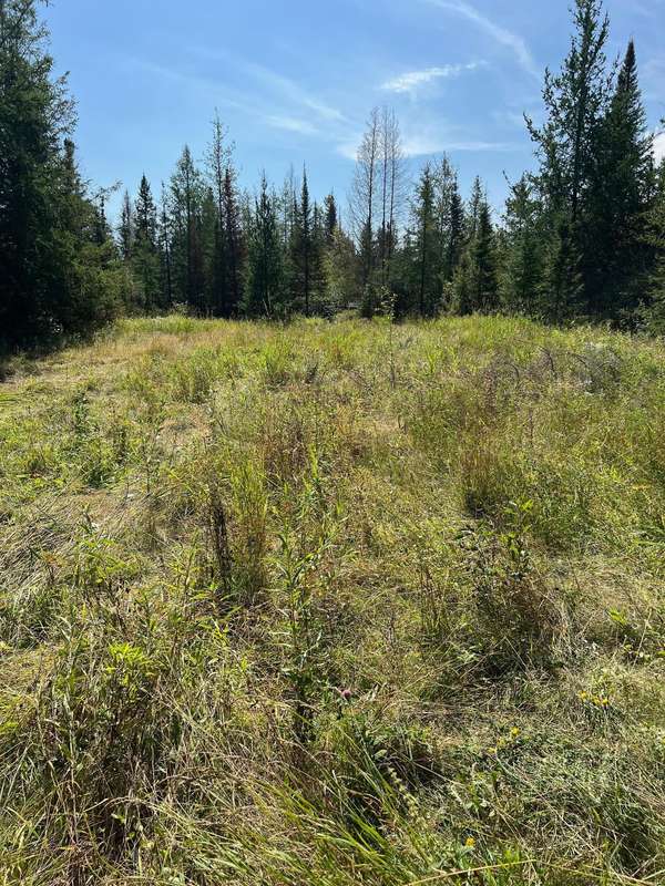 TBD W County Road 3, International Falls, MN 56669