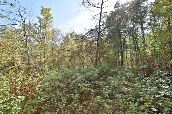 TBD White Overlook DR, Breezy Point, MN 56472