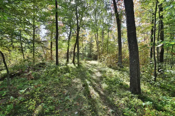 TBD White Overlook DR, Breezy Point, MN 56472