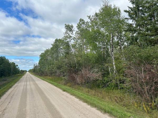 TBD 340th AVE, Roseau, MN 56751