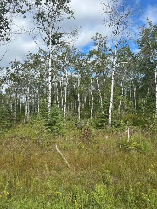 TBD 340th AVE, Roseau, MN 56751