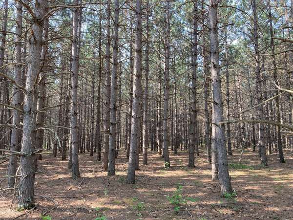 lot 2 Fawn Lake RD, Crosslake, MN 56442