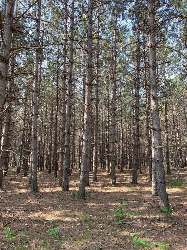 lot 2 Fawn Lake RD, Crosslake, MN 56442