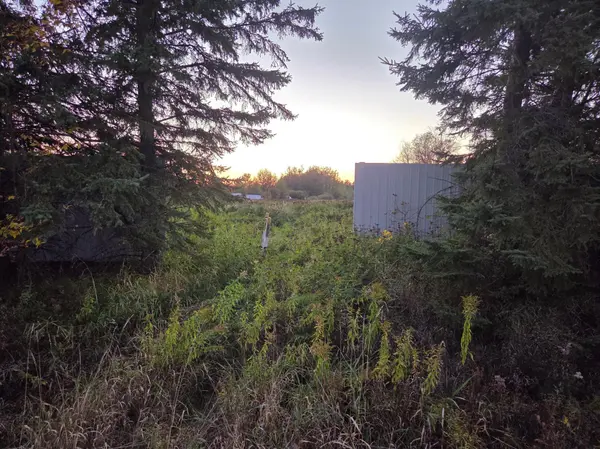 36101 Pincherry RD, Cohasset, MN 55721