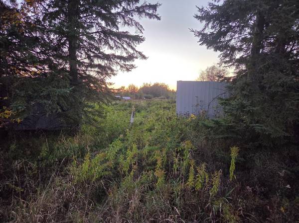 36101 Pincherry RD, Cohasset, MN 55721