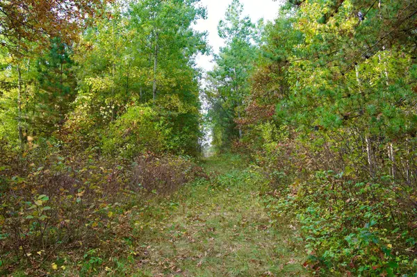 Tract B HWY 371, Brainerd, MN 56401