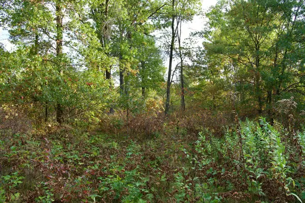 Tract B HWY 371, Brainerd, MN 56401