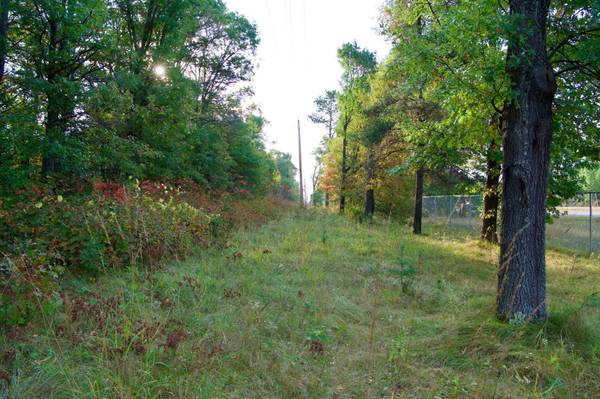 21.8 Acres Hwy 371, Brainerd, MN 56401