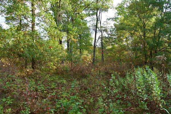 Tract C Hwy 371, Brainerd, MN 56401