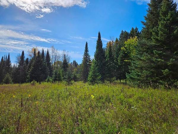 Lt 3 Blk 1 County Rd 238, Deer River, MN 56636