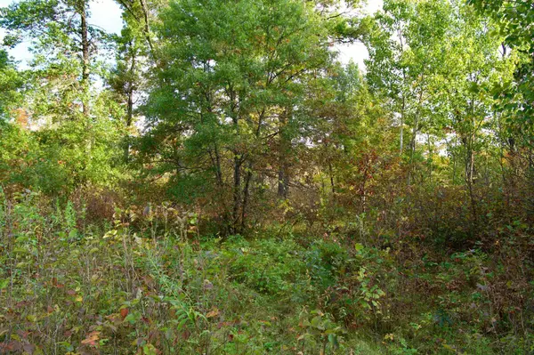 Tract A Hwy 371, Brainerd, MN 56401