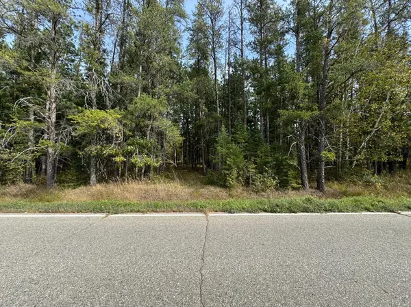 TBD 243rd AVE, Shevlin, MN 56676