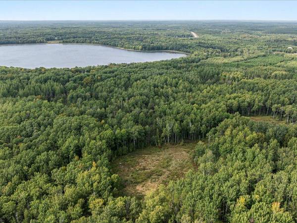 Parcel G Horseshoe Lake Rd, Merrifield, MN 56465