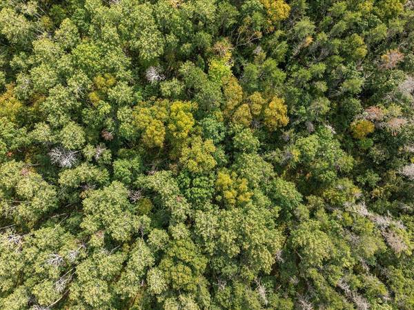 Lot A Sandbar Lane, Merrifield, MN 56465