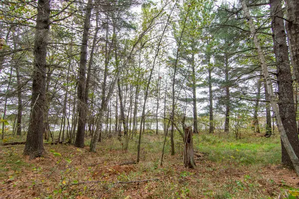 TBD Harriet Lake Trail NW, Backus, MN 56435