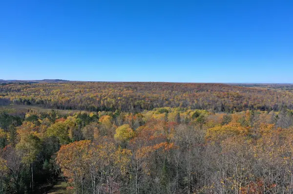 TBD French Rd., Chisholm, MN 55719