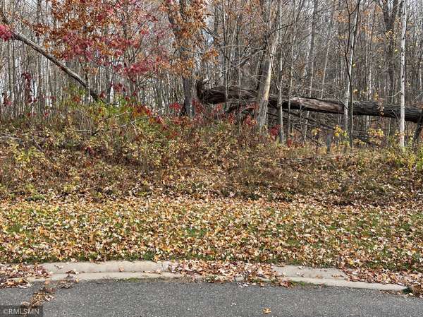 LOT 16 Wilderness Hills LN, Luck, WI 54853