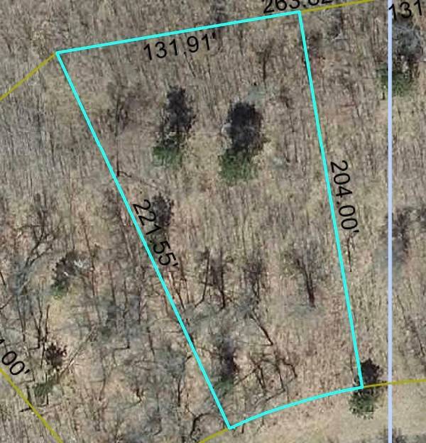 Lot 63 Honey Tree TER, Danbury, WI 54830