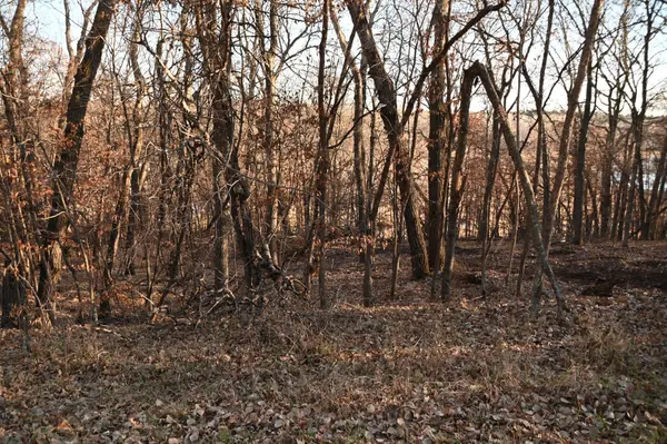 TBD Overland DR, Browerville, MN 56438