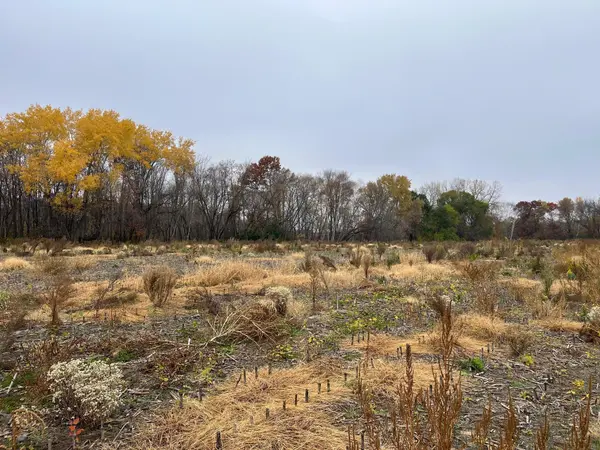 TBD (Lot 1) Brunswick RD, Stanchfield, MN 55080