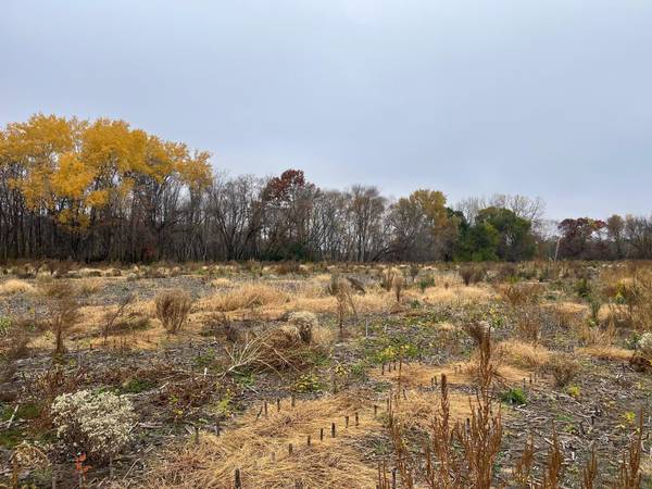 TBD (Lot 1) Brunswick RD, Stanchfield, MN 55080
