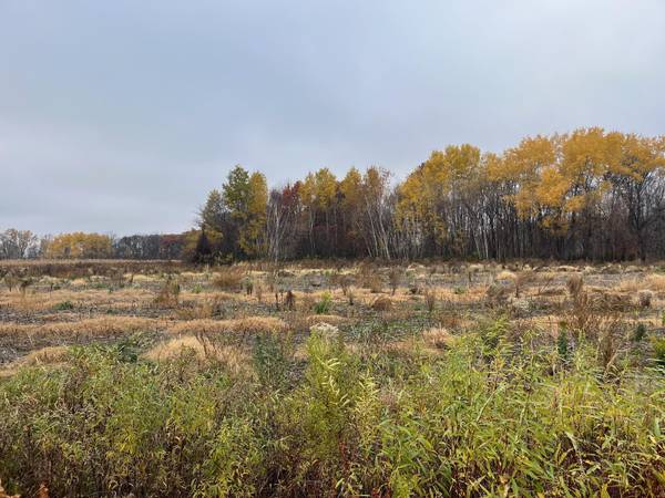 TBD (Lot 2) Brunswick RD, Stanchfield, MN 55080