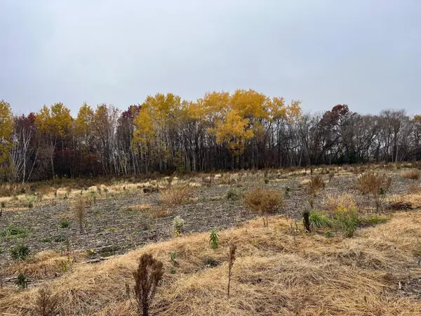 TBD (Lot 2) Brunswick RD, Stanchfield, MN 55080