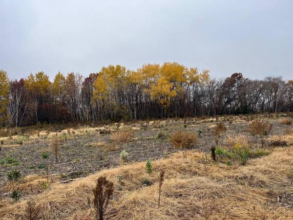 TBD (Lot 2) Brunswick RD, Stanchfield, MN 55080