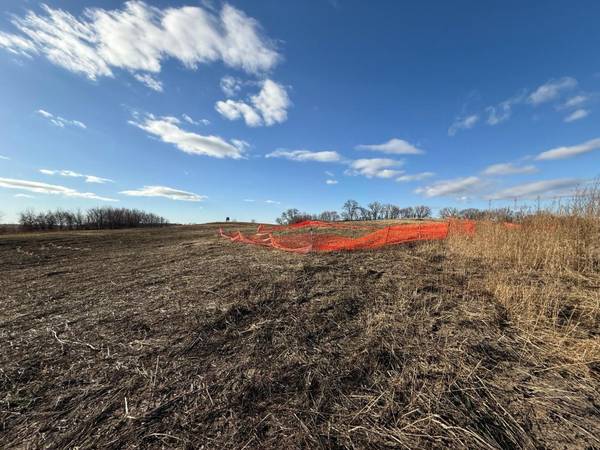 Lot 2, Block 1 Alivia's Avenue, Pelican Rapids, MN 56572