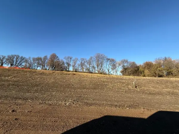 Lot 9, Block 1 Alivia's Avenue, Pelican Rapids, MN 56572