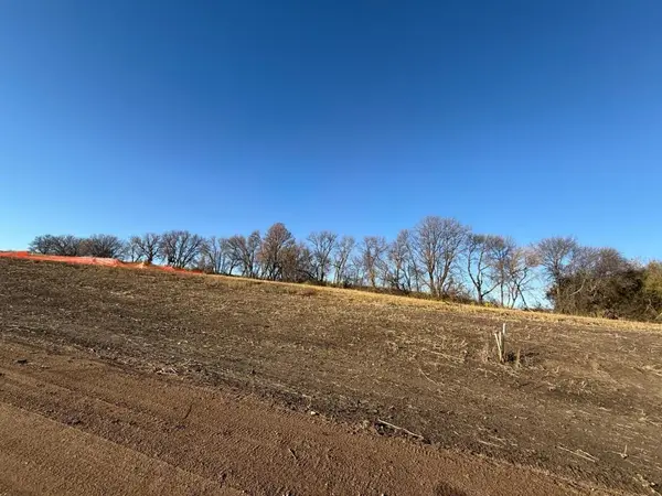 Lot 9, Block 1 Alivia's Avenue, Pelican Rapids, MN 56572