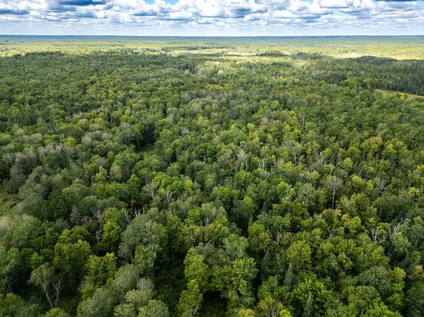 48029 110th PL, Tamarack, MN 55787