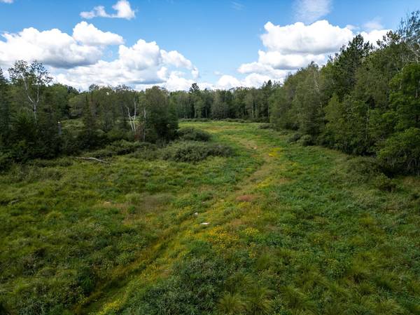 48029 110th PL, Tamarack, MN 55787