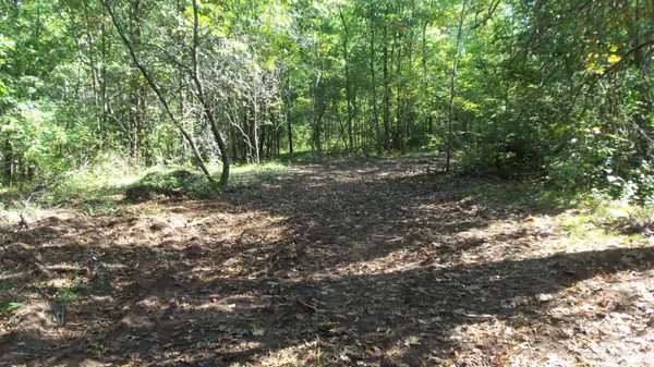Lot 4 East River Rd, Grantsburg, WI 54840
