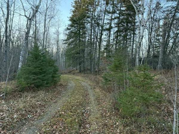 24965 Hammock TRL, Park Rapids, MN 56470