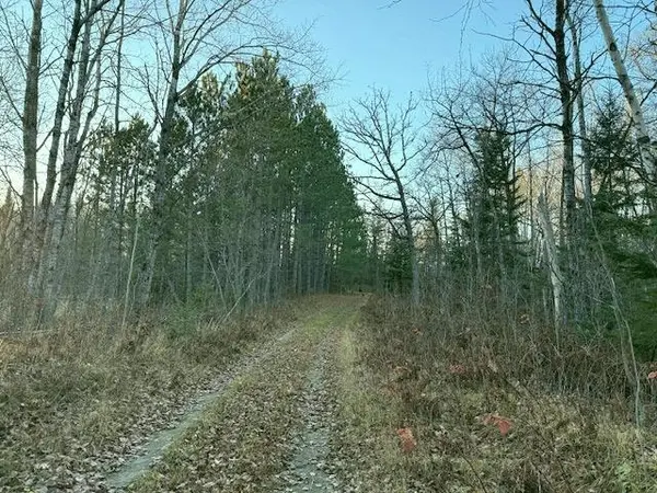 24965 Hammock TRL, Park Rapids, MN 56470