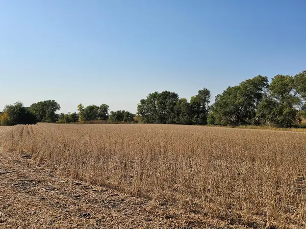- Mamre Twp, Pennock, MN 56279