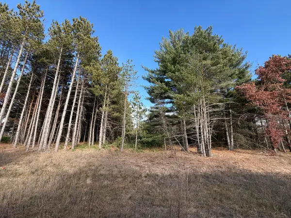 L2, Blk1 262nd AVE NW, Big Lake, MN 55309