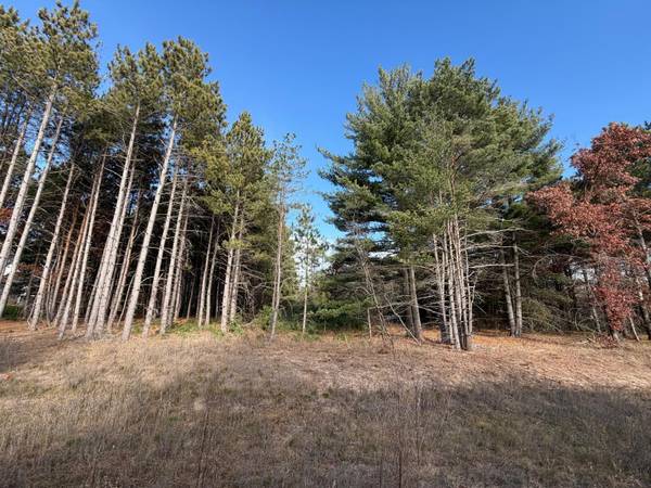 L2,Blk1 262nd AVE NW, Big Lake, MN 55309