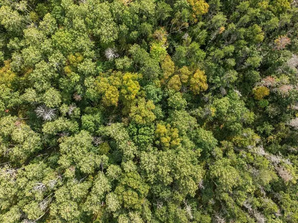 Lot B Sandbar Lane, Merrifield, MN 56465